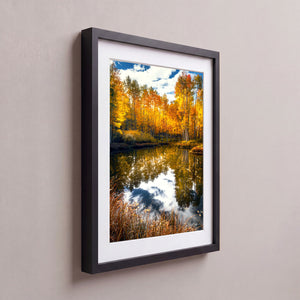 The Autumn Mirror