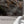 Mountain Climber