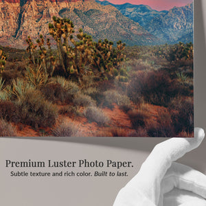 Red Rock Dawn