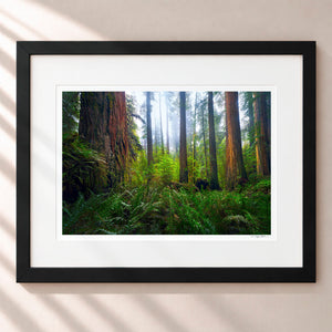 Ancient Giants Framed Midnight Black - (1 1 4" Frame Width | 3" Mat)