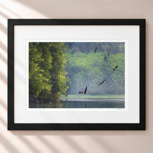 King of The Sky Framed Midnight Black - (1 1 4" Frame Width | 3" Mat)
