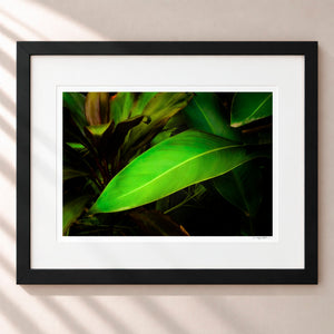 Leaves From The Vine Framed Midnight Black - (1 1 4" Frame Width | 3" Mat)