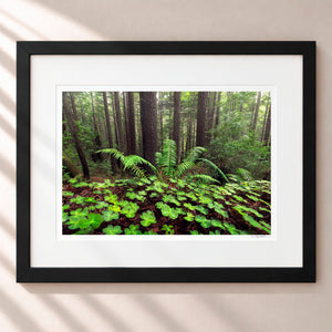 Looking For Luck Framed Midnight Black - (1 1 4" Frame Width | 3" Mat)