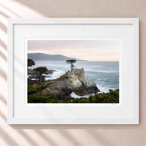 A Living Legend Framed Arctic White - (1 1 4" Frame Width | 3" Mat)
