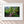 Enchanted Passage Framed Arctic White - (1 1 4