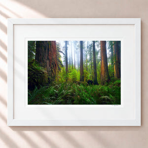 Ancient Giants Framed Arctic White - (1 1 4" Frame Width | 3" Mat)