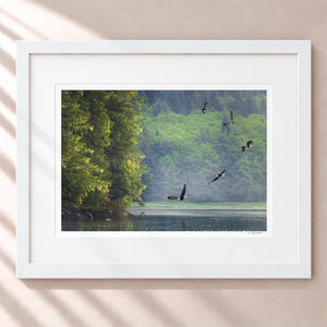 King of The Sky Framed Arctic White - (1 1 4" Frame Width | 3" Mat)