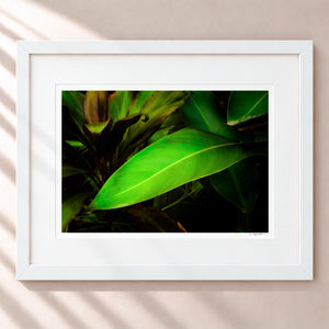Leaves From The Vine Framed Arctic White - (1 1 4" Frame Width | 3" Mat)
