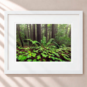 Looking For Luck Framed Arctic White - (1 1 4" Frame Width | 3" Mat)