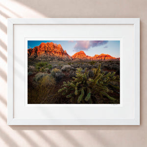 Bright and Early Framed Arctic White - (1 1 4" Frame Width | 3" Mat)