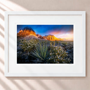 Winter Is Coming Framed Arctic White - (1 1 4" Frame Width | 3" Mat)