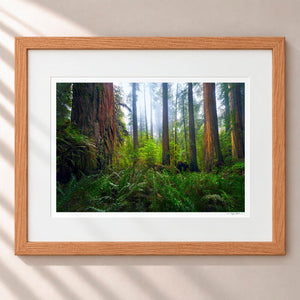 Ancient Giants Framed Nordic Oak - (1 1 4" Frame Width | 3" Mat)