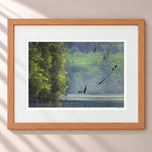 King of The Sky Framed Nordic Oak - (1 1 4" Frame Width | 3" Mat)