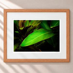 Leaves From The Vine Framed Nordic Oak - (1 1 4" Frame Width | 3" Mat)
