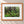 Looking For Luck Framed Nordic Oak - (1 1 4