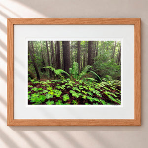 Looking For Luck Framed Nordic Oak - (1 1 4" Frame Width | 3" Mat)
