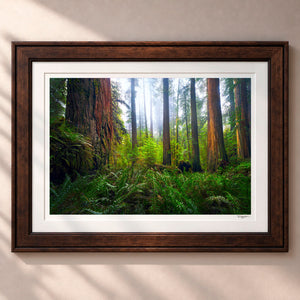 Ancient Giants Framed Heritage Brown - (2 9 16" Frame Width | 2" Mat)