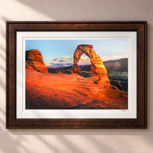 It's Delicate Framed Heritage Brown - (2 9 16" Frame Width | 2" Mat)