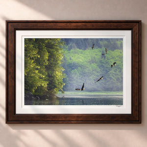 King of The Sky Framed Heritage Brown - (2 9 16" Frame Width | 2" Mat)