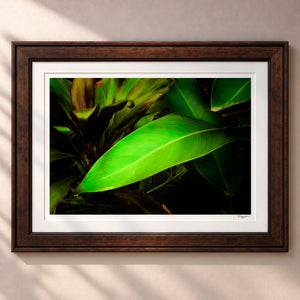 Leaves From The Vine Framed Heritage Brown - (2 9 16" Frame Width | 2" Mat)