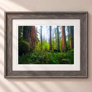 Ancient Giants Framed Rustic Gray - (2 7 8" Frame Width | 2" Mat)