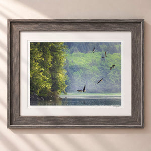 King of The Sky Framed Rustic Gray - (2 7 8" Frame Width | 2" Mat)