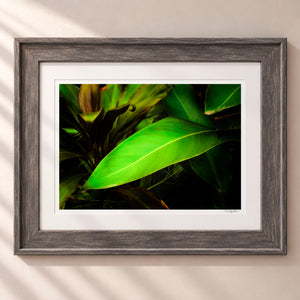 Leaves From The Vine Framed Rustic Gray - (2 7 8" Frame Width | 2" Mat)