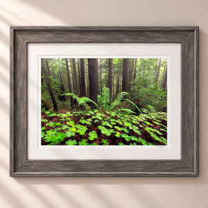 Looking For Luck Framed Rustic Gray - (2 7 8" Frame Width | 2" Mat)