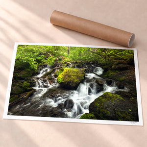 A Beautiful Mess Unframed Fine Art Paper - Unframed