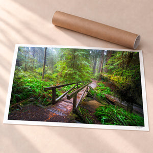Enchanted Passage Unframed Fine Art Paper - Unframed