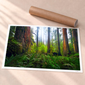 Ancient Giants Unframed Fine Art Paper - Unframed