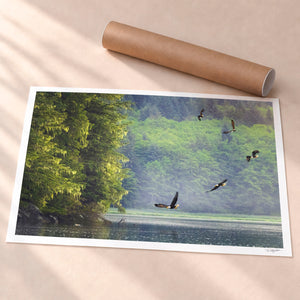 King of The Sky Unframed Fine Art Paper - Unframed