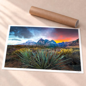 Lasting Embers Unframed Fine Art Paper - Unframed