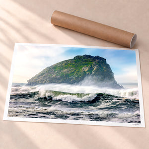 Standing Firm Unframed Fine Art Paper - Unframed