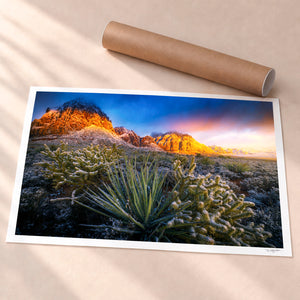 Winter Is Coming Unframed Fine Art Paper - Unframed