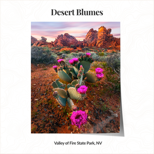 The Southwestern Collector Set