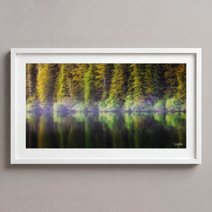 Coastal Pines