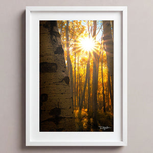 Golden Burst
