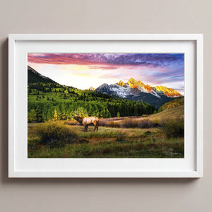 Mountain Song Arctic White