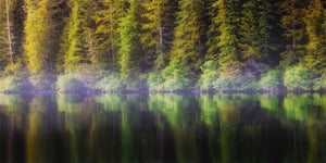 Coastal Pines