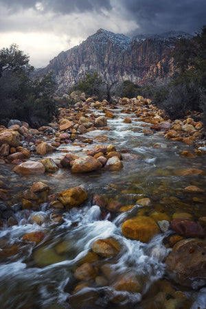 Disappearing Creek