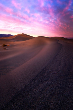 Valley of Shadow
