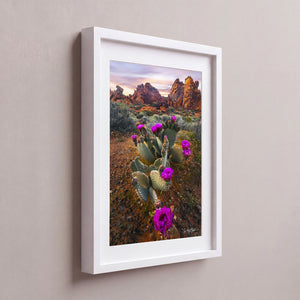Desert Blumes