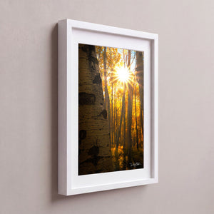 Golden Burst