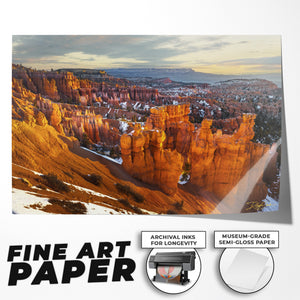 Morning Light At Bryce