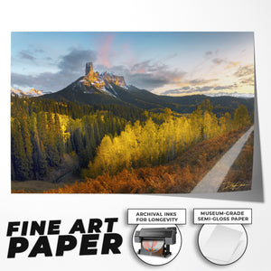 Triumphant Nights - Classic Format