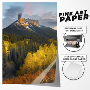 Triumphant Nights - Vertical