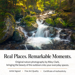 Hidden Cascades
