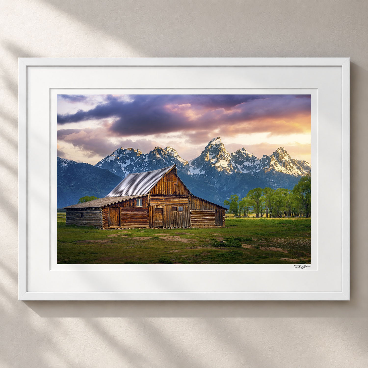 The Old Frontier - First Time Collector Arctic White Frame