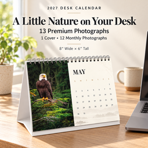 2027 Calendar & Print Bundle